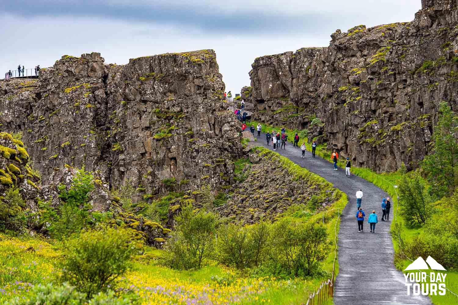 walking path in thingvellir national park 