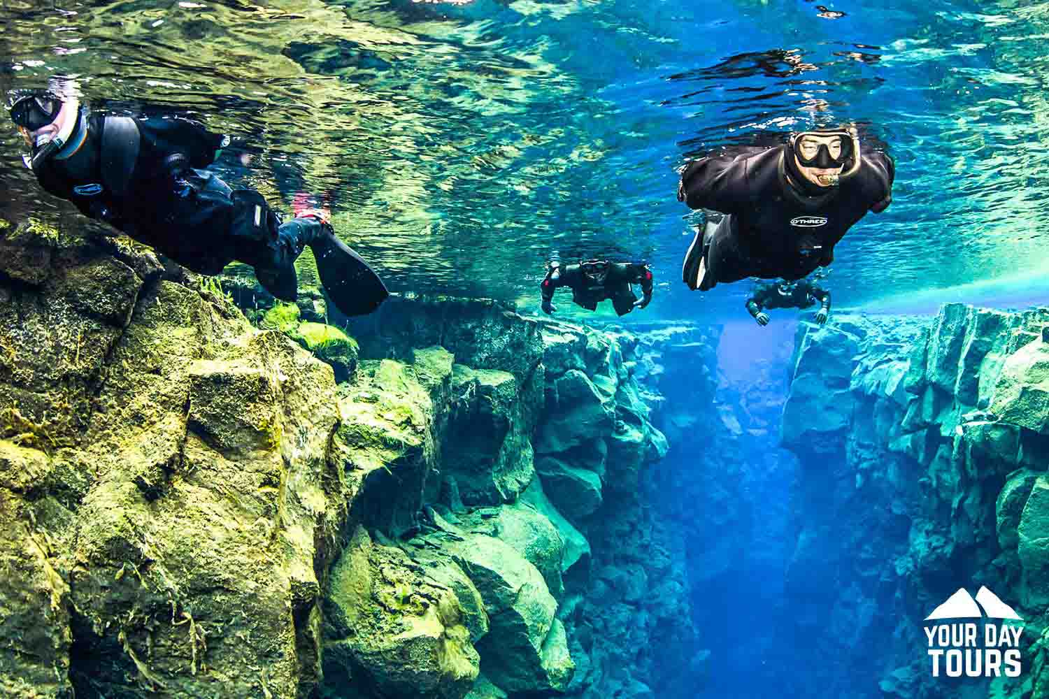 people snorkeling in clear blue water