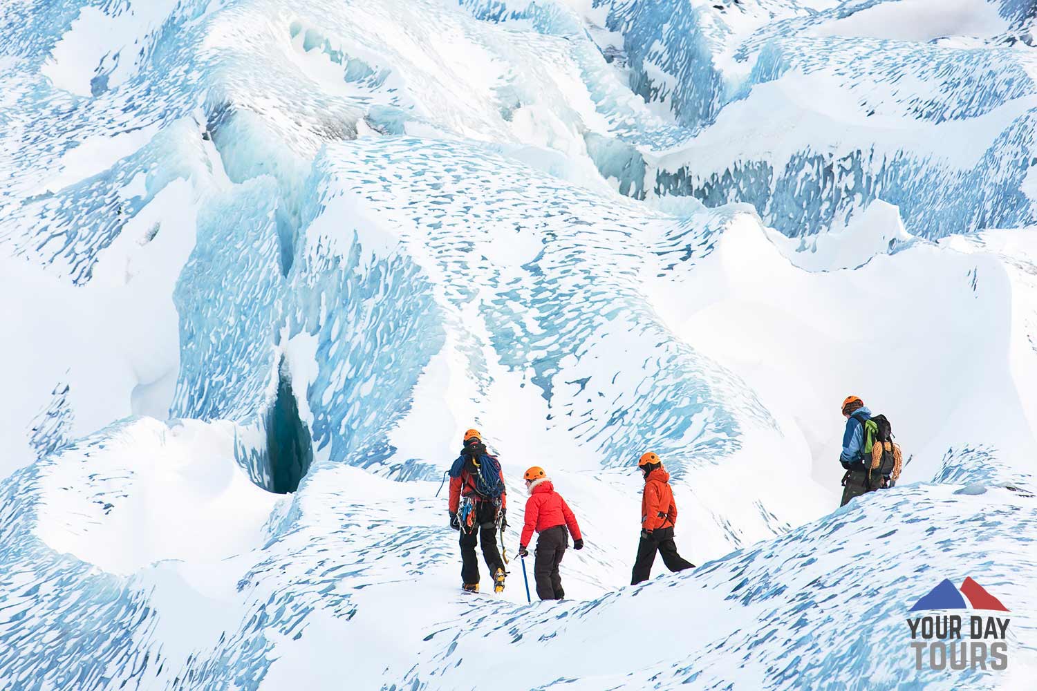 group of people with red coats 