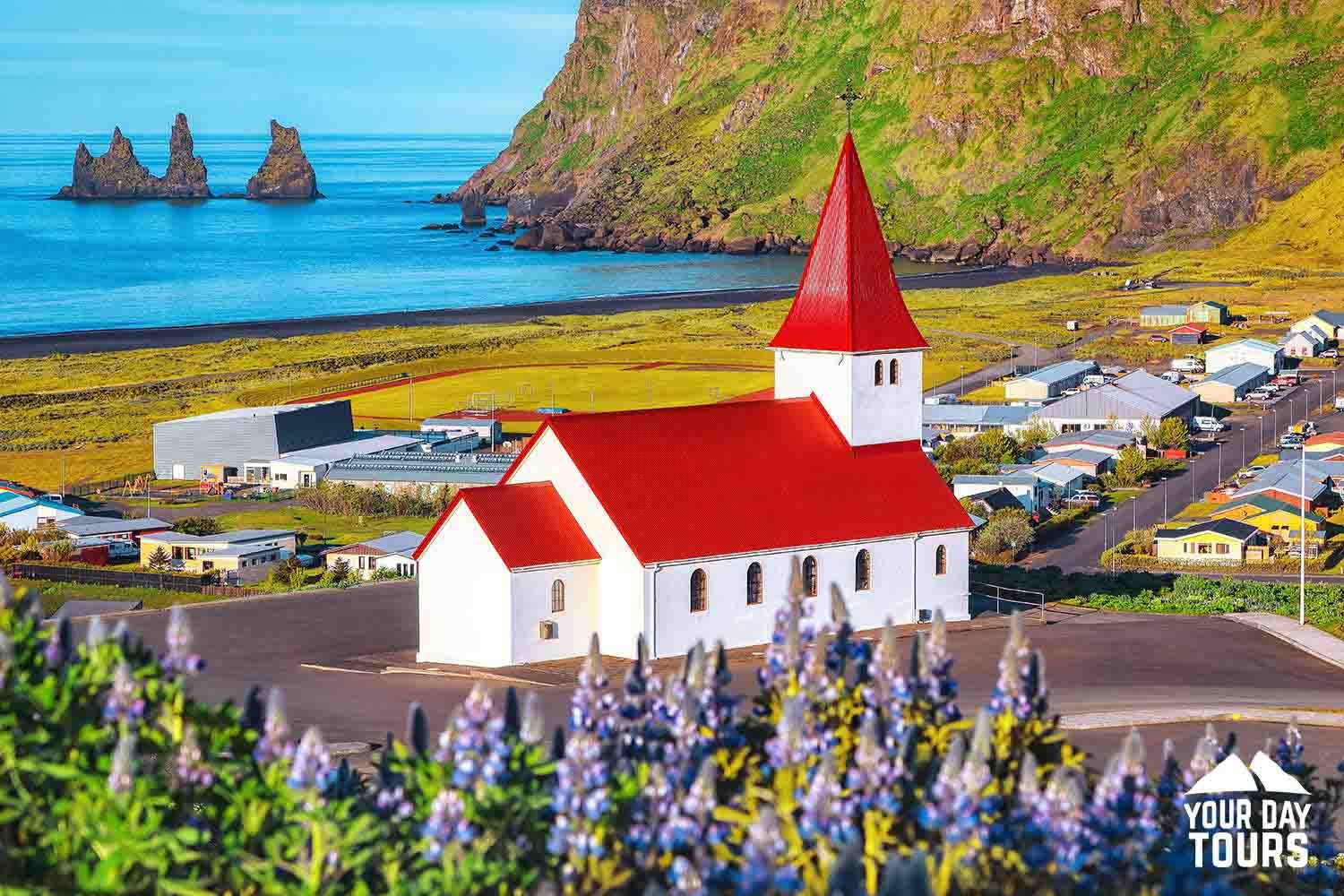 vikurkirkja church and lupines