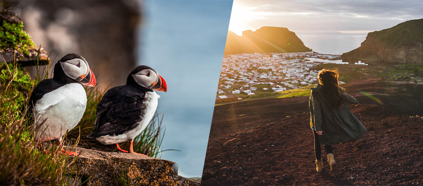 Vestmannaeyjar Island, Volcanoes and Puffins Tour