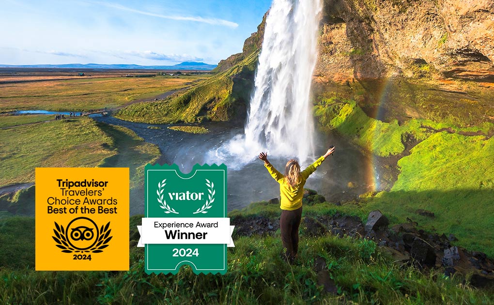 South Coast Small Group Day Tour